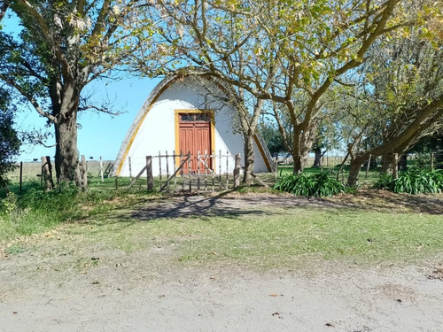 Terrenos En Venta En Zona Rural Partido De Chascomús.