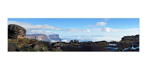 Cuadro Kukenan Roraima Gran Sabana Tepuy Lienzo Foto Canvas