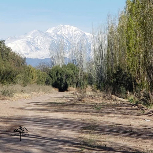 Imagen 6 de 9 de Lotes Ubicados En Maipu Lulunta , Mendoza.