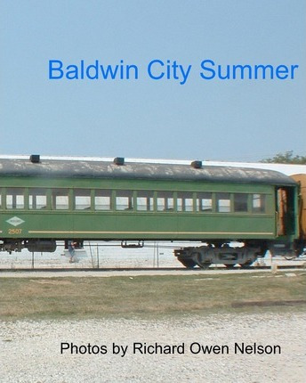 Libro Baldwin City Summer - Richard Owen Nelson