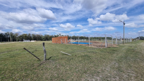 Terreno En Venta En Domselaar. Oportunidad