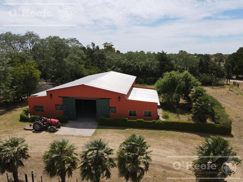 Imagen 17 de 24 de Campo En Venta 50 Has En Punta Indio - Excelente Casco - Ideal Haras