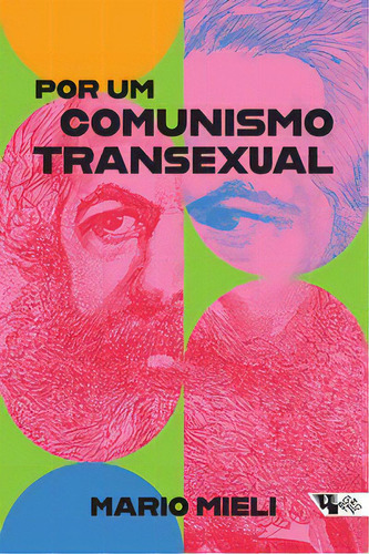 Por Um Comunismo Transexual, De Mieli Mario. Editora Boitempo Editorial, Capa Mole Em Português, 2023