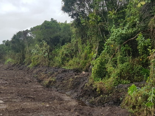 Imagem 2 de 9 de Terreno Na Praia Com 231 M², Em Itanhaém/sp Ter042-pc