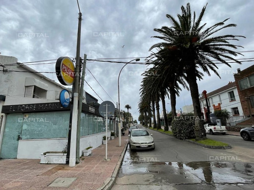 Imagen 4 de 14 de Local En Punta Del Este, Peninsula - Punta Del Este Peninsula