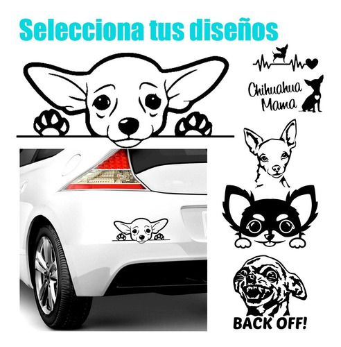 Calcomanías De Perro Chihuahua Stickers Vinil Divertido