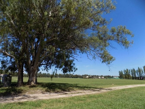 Imagen 7 de 10 de Terreno En Venta En El Espinillo Golf