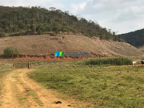 Imagem 15 de 15 de Fazenda - Zona Rural - Ref: 5241 - V-mta5241