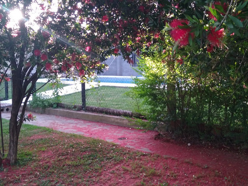 Casa Quinta Con Piscina, Parque Y Parrilla. Alquiler Por Dia