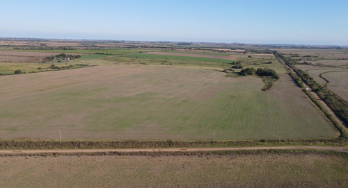 Campo Agricola De 21.5 Has En Corrales (antelo)