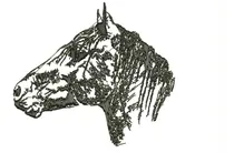 Comprar  Diseño De Matrices P\u002F Maquinas De Bordar Caballo 5