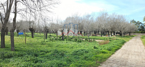 Venta Lotes Barrio Los Fresnos, Virrey Del Pino, La Matanza