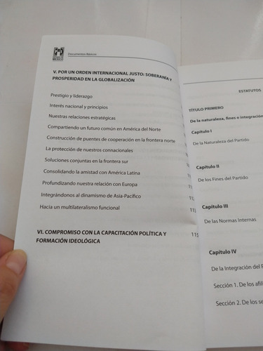 Documentos Básicos Pri Estado De México (Usado)