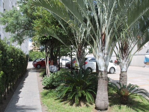 Imagem 17 de 20 de Apartamento - Ap00597 - 70700218