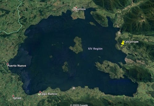Imagen 1 de 11 de Sitio En Venta En Lago Ranco