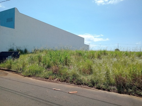 Imagem 2 de 10 de Terreno - Te00241 - 69321133
