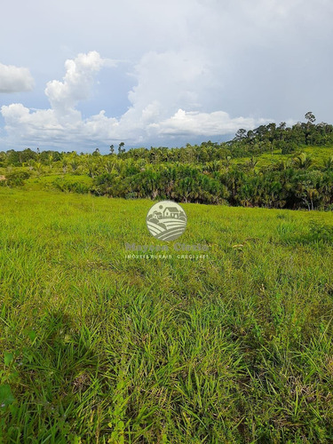 Imagem 8 de 8 de Venda Fazenda Machadinho D'oeste Em Rondônia - Faz313