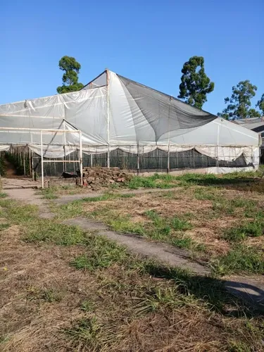 Campo En Venta En Lules - foto 1