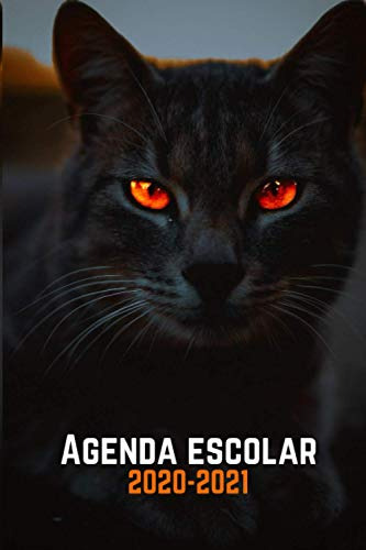 Agenda Escolar 2020-2021 Gato: Agenda Animales| Primaria Col