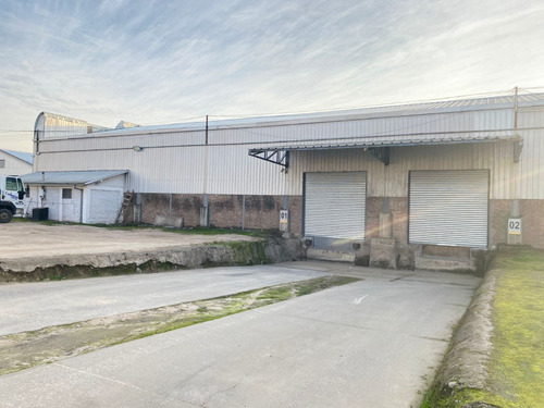 Bodega Industrial, Centro Logístico Sector Oriente De Talca