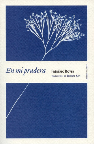 En Mi Pradera, De Boyer, Frédéric. Editorial Sexto Piso, Tapa Blanda, Edición 1 En Español, 2015