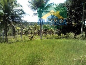 Imagem 11 de 15 de Sítio Rural À Venda, Conde, Conde - Si0001. - Si0001