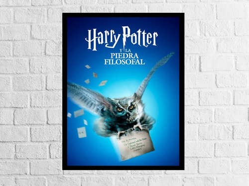 Cuadro  Pélicula De Harry Potter 30x40