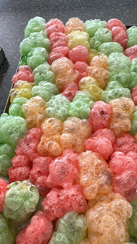 Panditas Liofilizadas