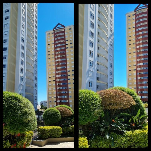 Imagem 1 de 15 de Apartamento - Rio Branco - Ref: 9151 - V-9151