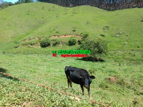 Imagem 2 de 15 de Sítio Dos Sonhos Em Paraibuna - 3.8 Alqueires - 1001