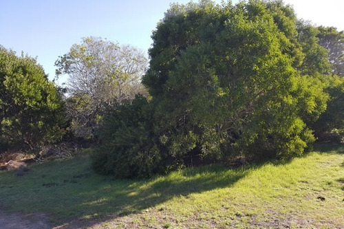 Imagen 2 de 3 de Lote En Cull De Saac Alameda 206 1328m2