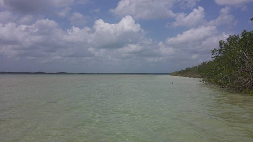 Imagen 7 de 15 de Increíble Lote En Venta Con 270 M Lineales De Laguna De Bacalar C1314