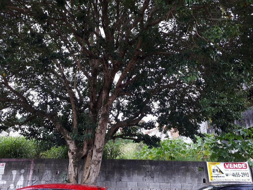 Imagem 6 de 6 de Terreno Residencial À Venda, Jordanópolis, Arujá. - Te0229