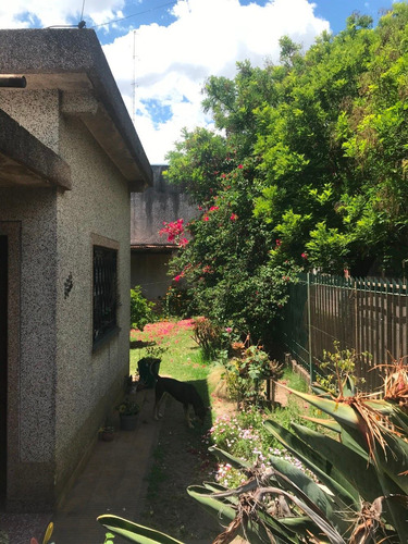Imagen 7 de 8 de Lote 10x20 - Excelente Zona En P Johnston - Hurlingham