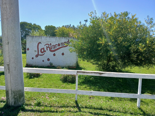 La Rinconada Avenida Hermenegildo Y La 43 Alborada Barra Del