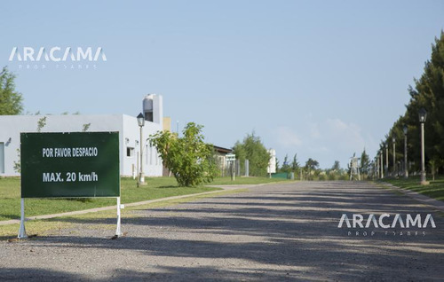 Imagen 8 de 30 de Lote En Venta En Belleville - Canning