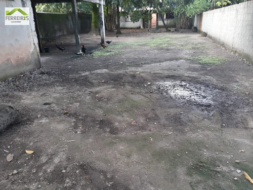 Imagem 7 de 9 de Terreno A Venda . - 352-1