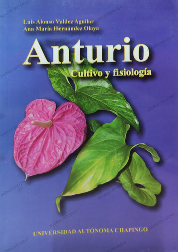 Anturio Cultivo Y Fisiologia Uach Luis Alonso Valdez Aguilar