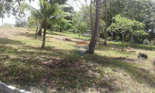 Imagem 16 de 21 de Chácara Com 4 Dormitórios À Venda, 50000 M² Por R$ 1.100.000,00 - Santa Rita - Igarassu/pe - Ch0028