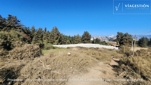 Terreno En Reñaca Con Excelente Ubicación Y Conectividad