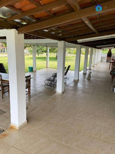 Imagem 4 de 30 de Granja Com 13 Hectares E Plantação Rentabilizando - Ch0065