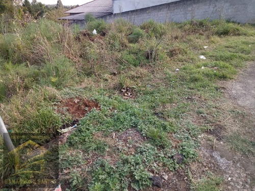 Imagem 3 de 6 de Terreno Com 500,50m² Em Quatro Barras - Te00021 - 32917423