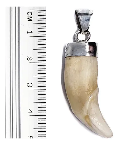 comprar Dije Colmillo Lobo Coyote En 100% Plata Ley 0.925 