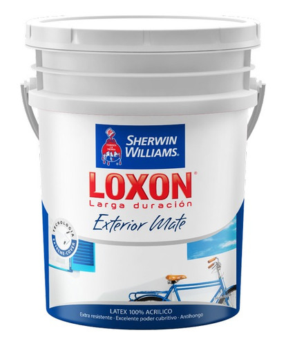 Loxon Exterior Acrilico Mate 20 Lts Color