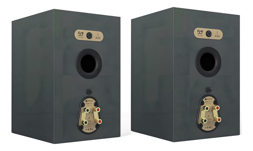 Monitor Audio Silver 100 7g Limited Edition 50th - Audionet Color Verde Oscuro