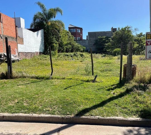 Imagen 6 de 6 de Terreno De 519 M2 Zona Céntrica Colón