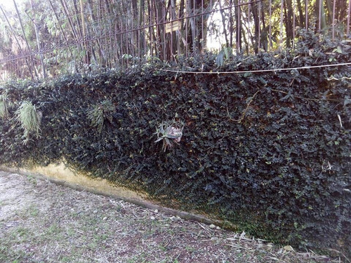 Imagem 6 de 14 de Sobrado Residencial À Venda, Cavalhada, Porto Alegre. - So0672
