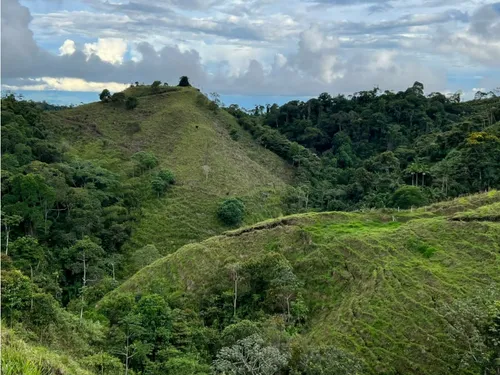 Venta De Finca En Vereda Paramillo, Fresno, Tolima