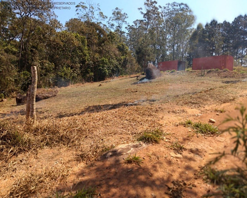 Imagem 8 de 11 de Terreno - Te00147 - 68899696