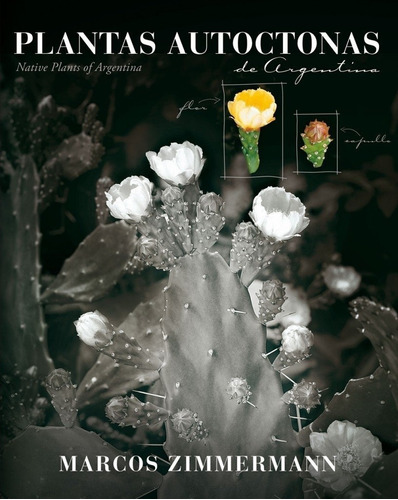 Plantas Autoctonas De Argentina, De Zimmermann Marcos., Vol. 1. Editorial Ediciones Lariviere, Tapa Blanda En Español